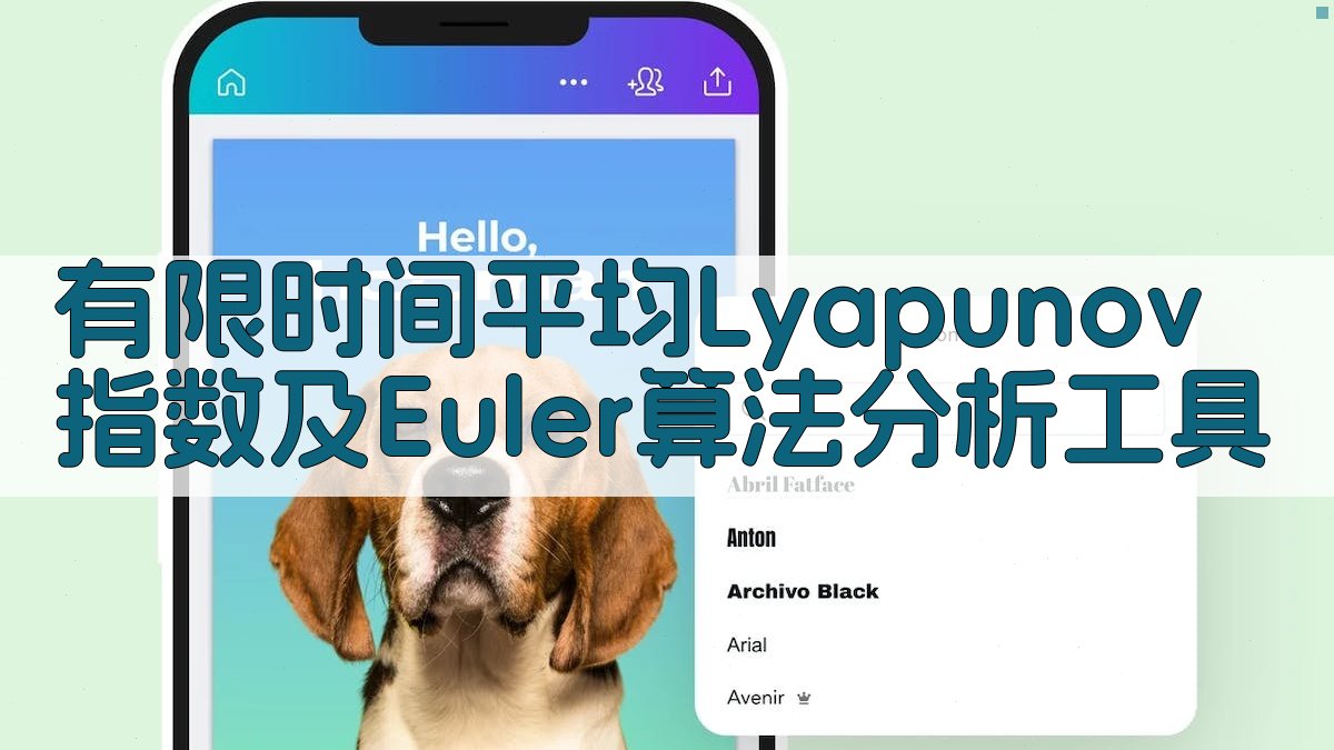 有限时间平均Lyapunov指数及Euler算法分析