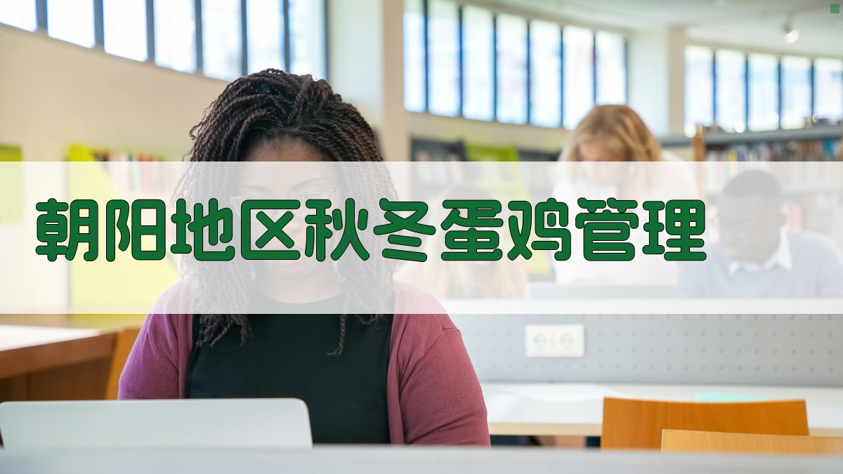 朝阳地区秋冬蛋鸡管理