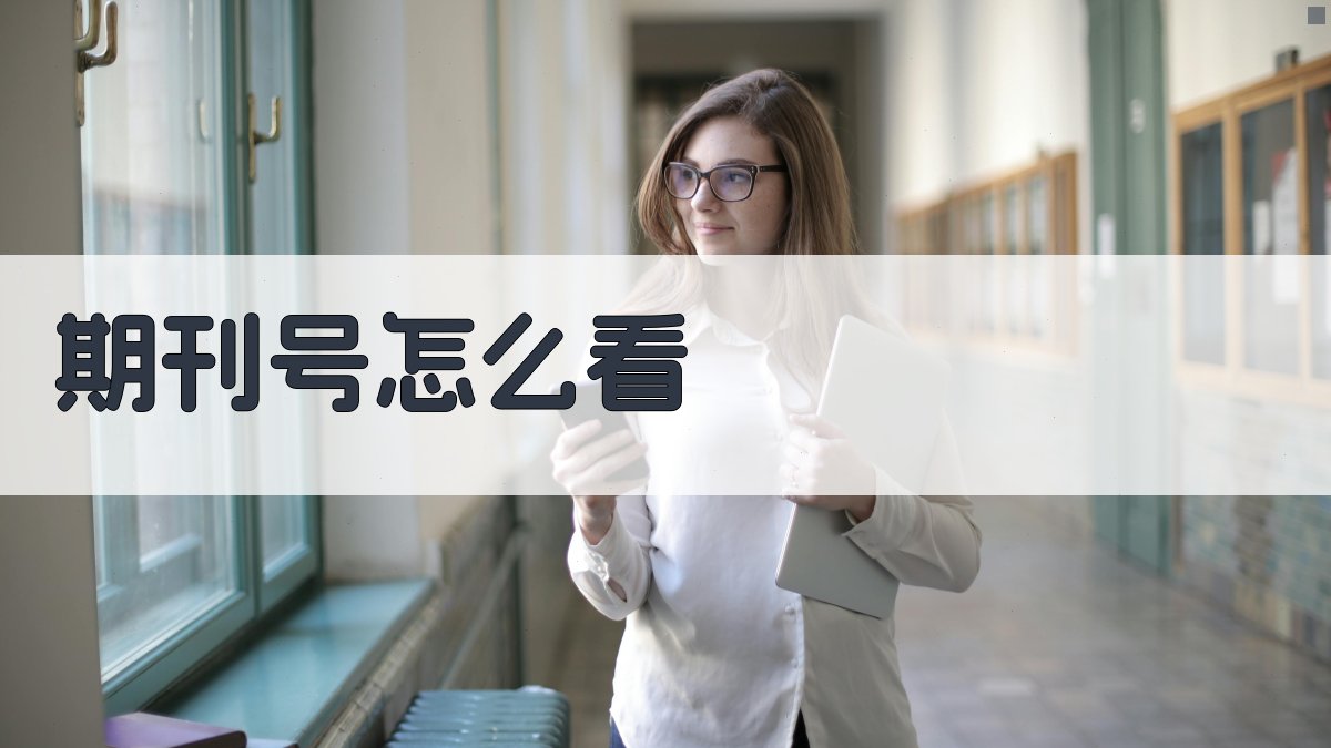 期刊号识别指南