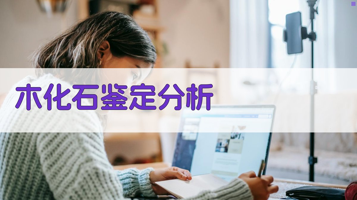 AI木化石鉴定分析