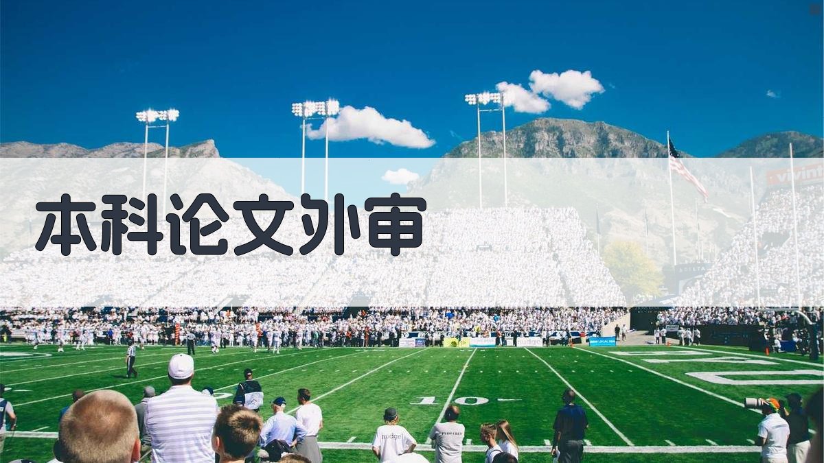 AI本科论文外审助手