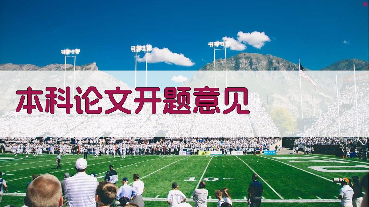 AI本科论文开题意见生成器