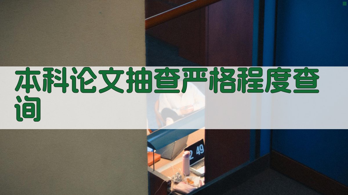 本科论文抽查严格程度查询
