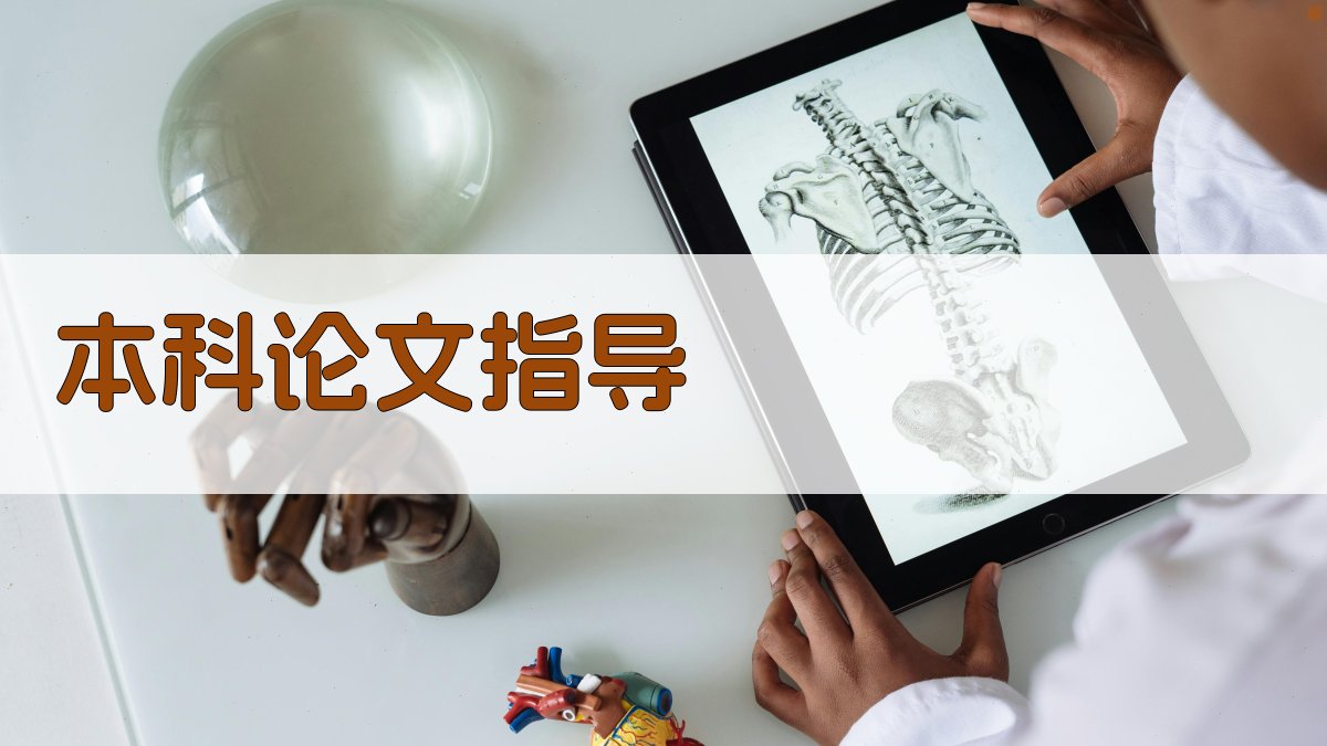 AI本科论文指导助手