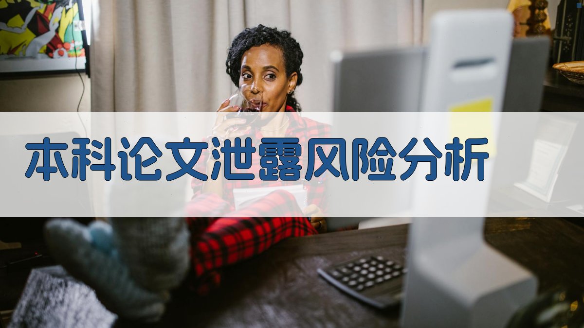 本科论文泄露风险分析