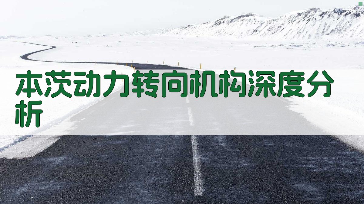 本茨动力转向机构分析