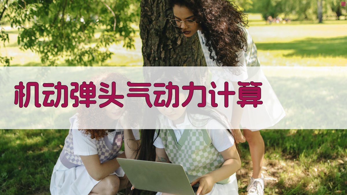 AI机动弹头气动力计算与优化设计