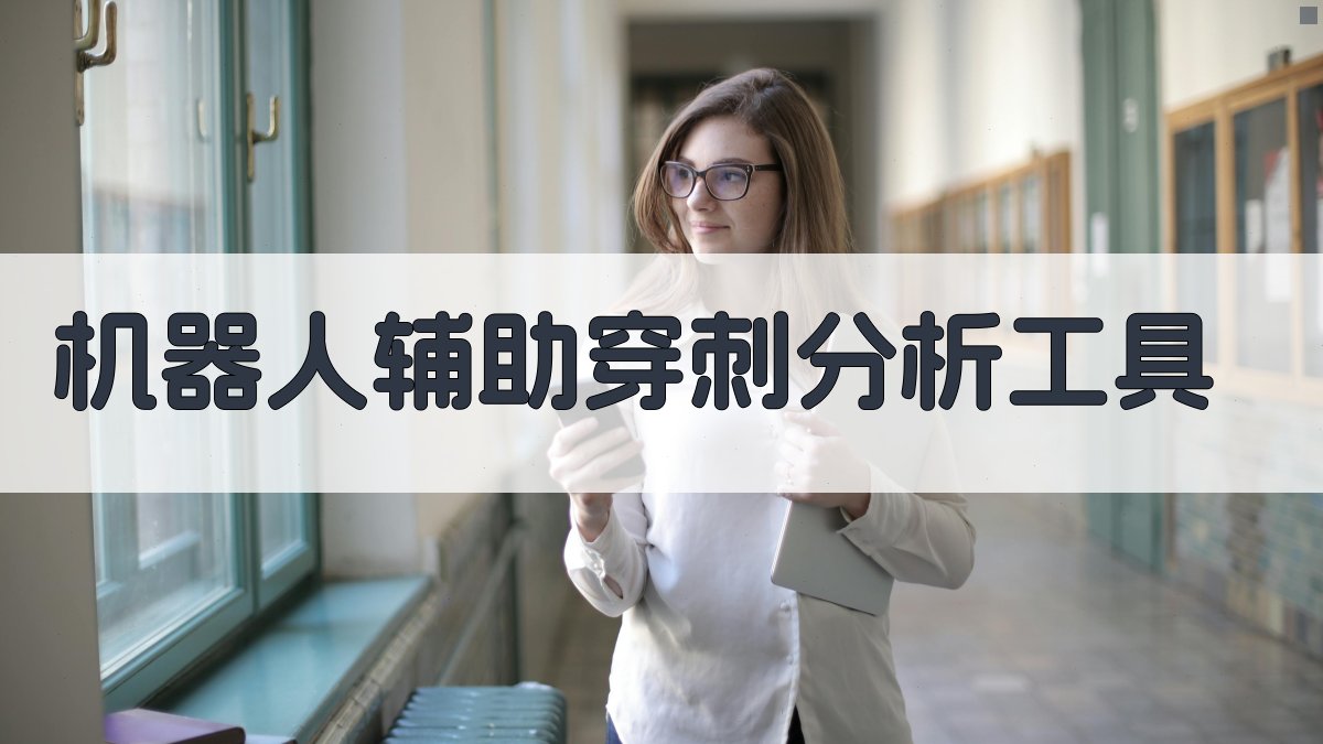 AI 机器人辅助穿刺分析工具