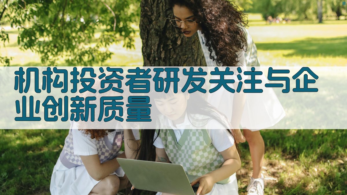 机构投资者研发关注与企业创新质量分析