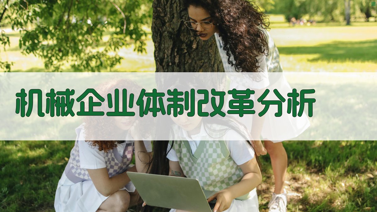 AI机械企业体制改革分析
