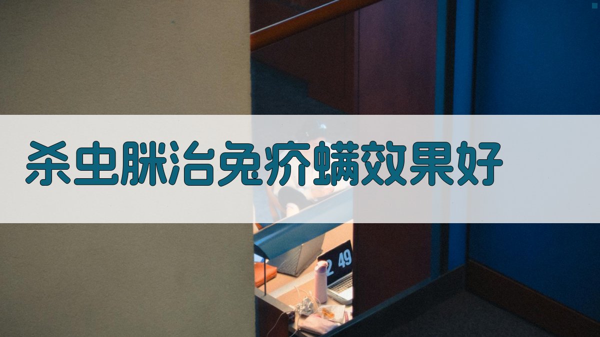 杀虫脒治兔疥螨效果分析