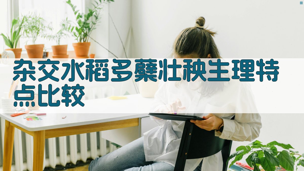 杂交水稻多蘖壮秧生理特点比较