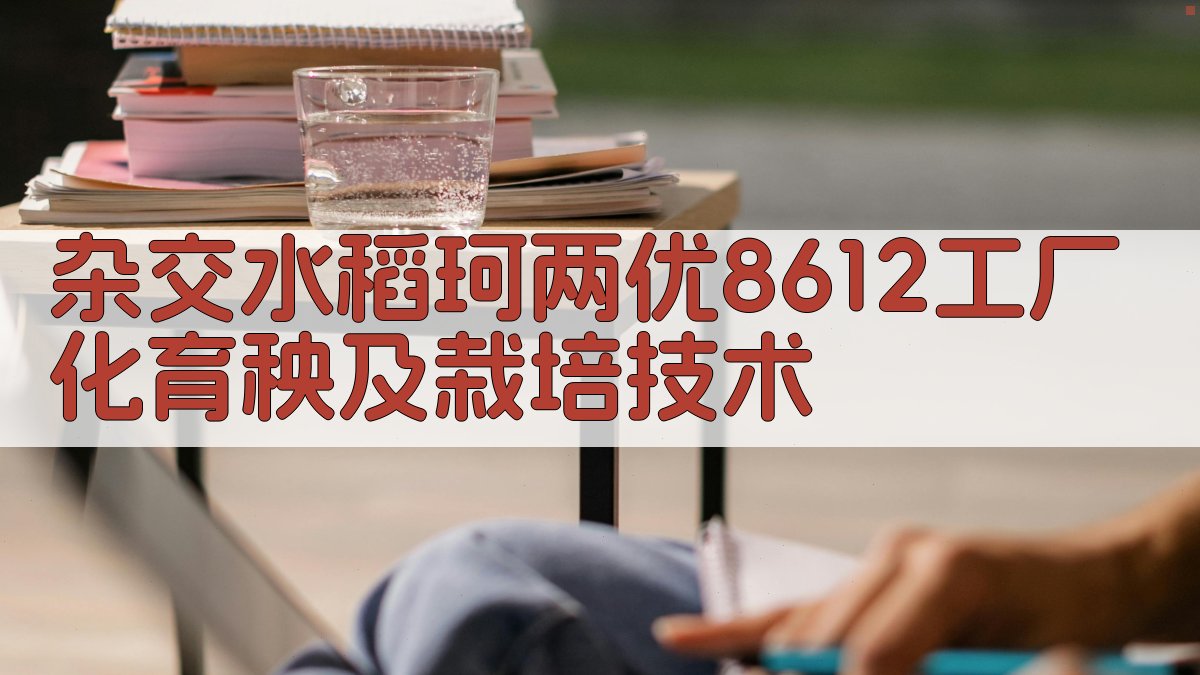 杂交水稻珂两优8612工厂化育秧及栽培技术