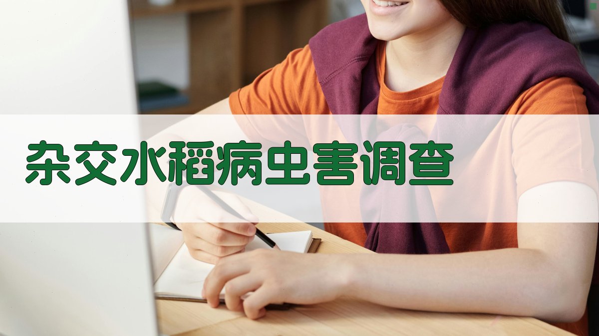 杂交水稻病虫害调查