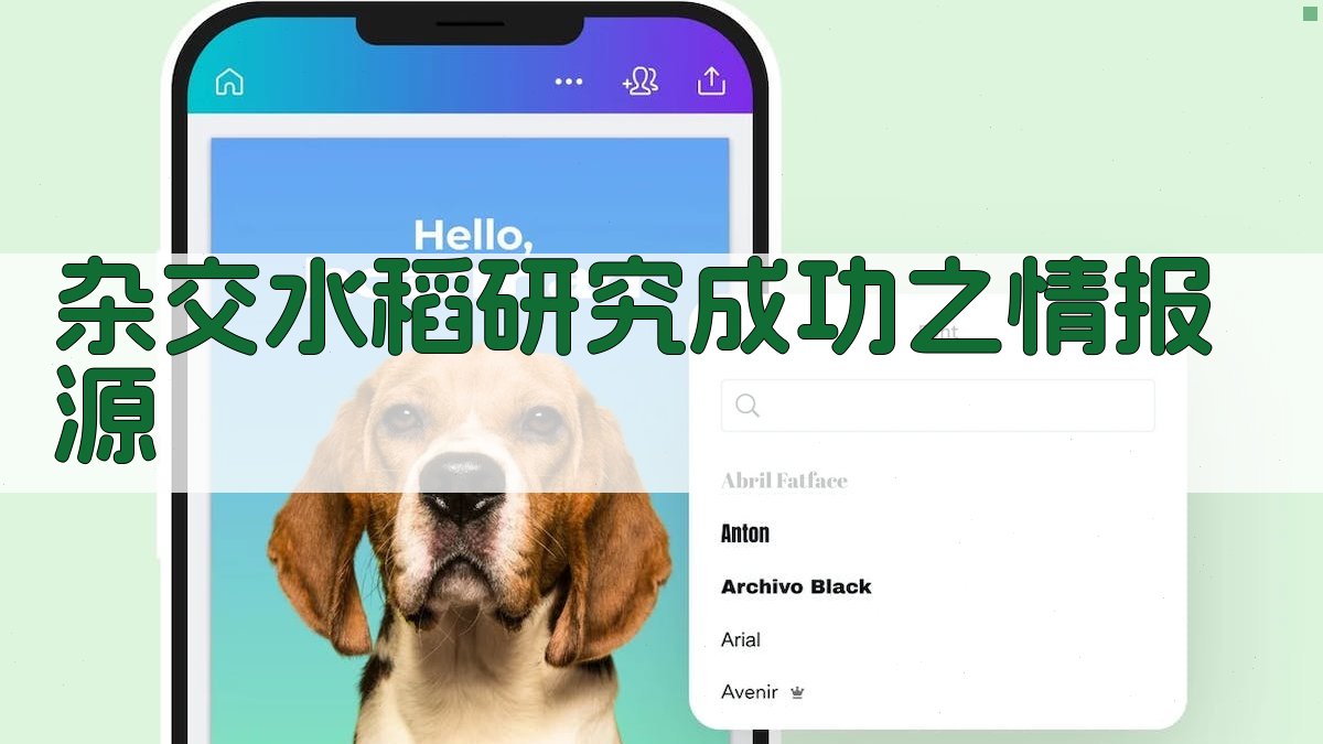 杂交水稻研究成功之情报源分析