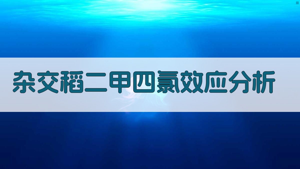 AI杂交稻二甲四氯效应分析