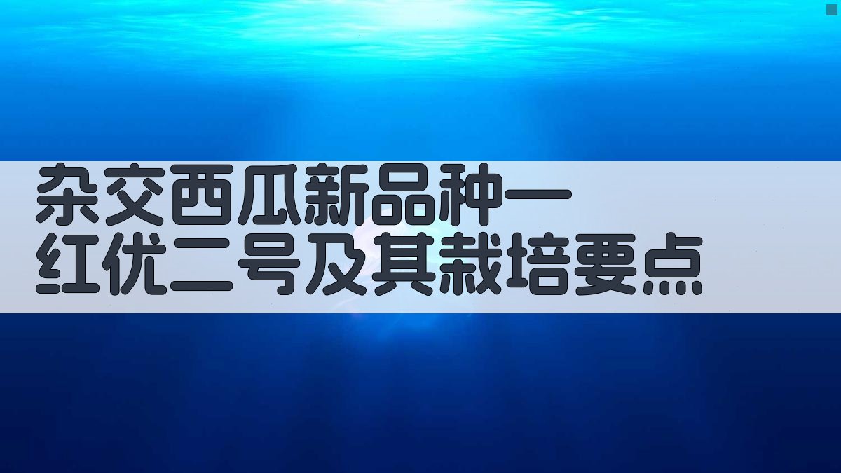 杂交西瓜新品种—红优二号及其栽培要点