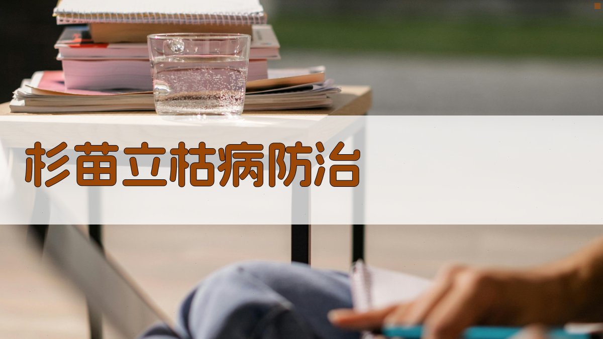 AI杉苗立枯病防治方案生成器