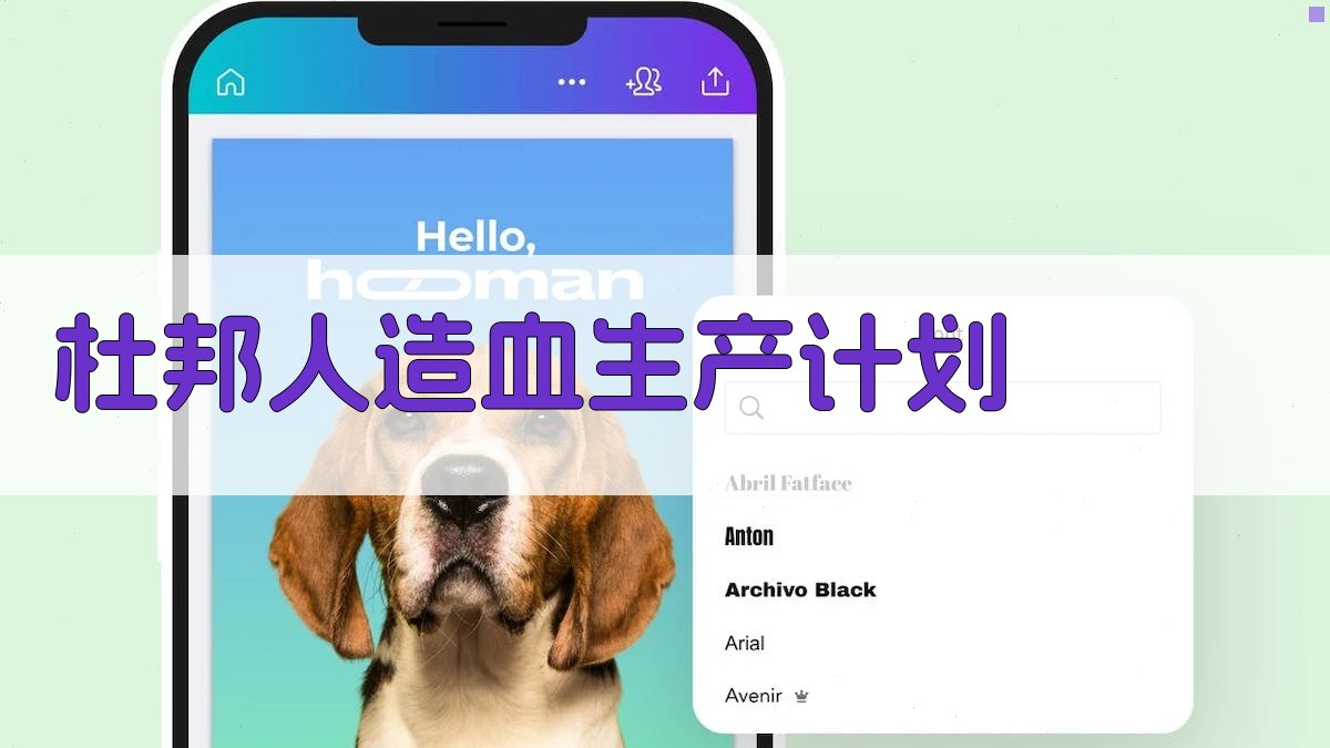 杜邦人造血生产计划生成器