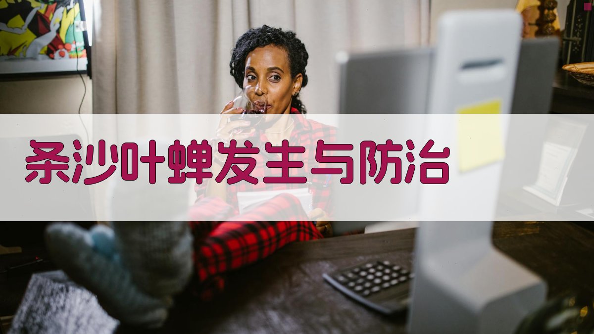 AI条沙叶蝉发生与防治分析