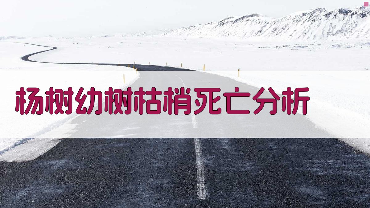 杨树幼树枯梢死亡原因分析