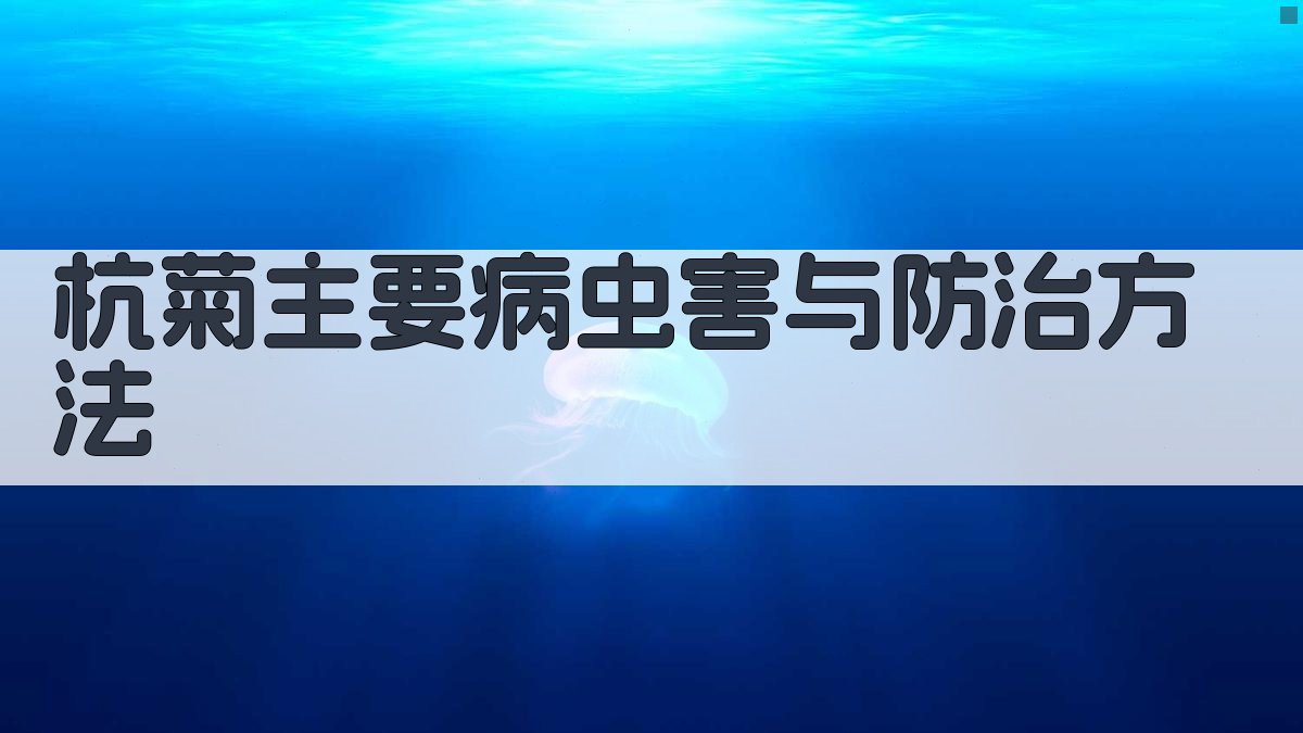 杭菊病虫害防治