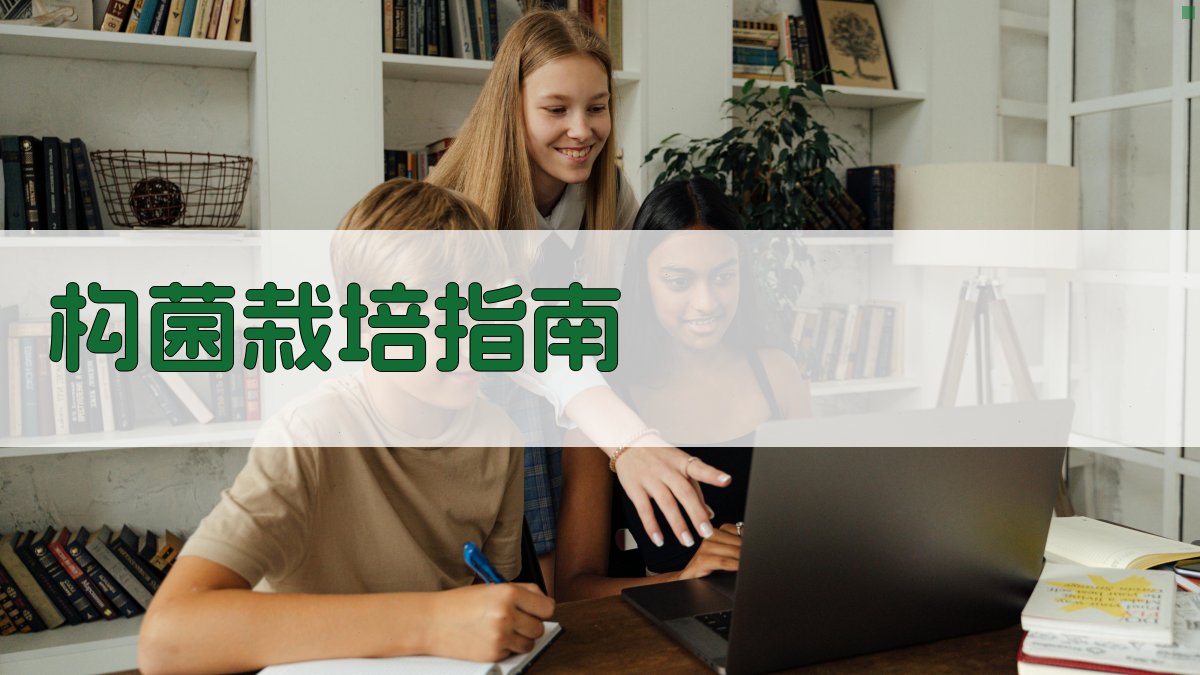 AI一键生成构菌栽培指南