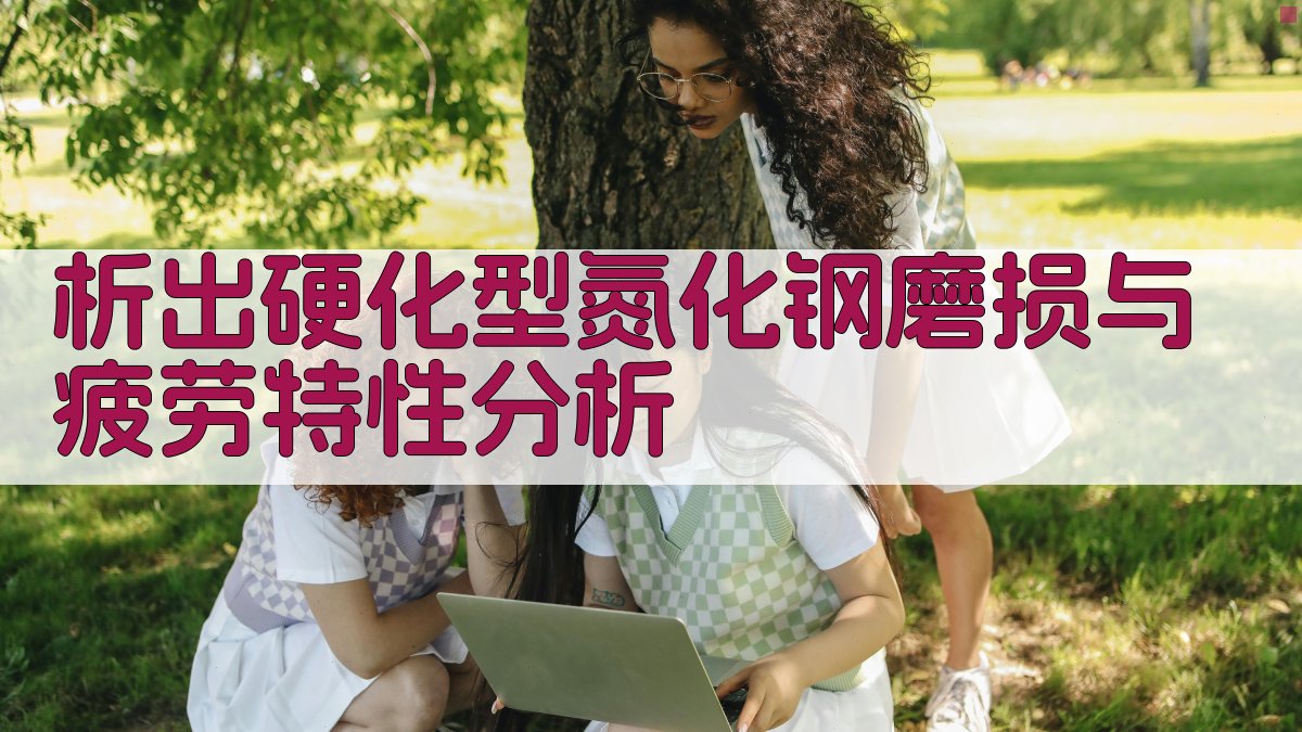 析出硬化型氮化钢磨损与疲劳特性分析