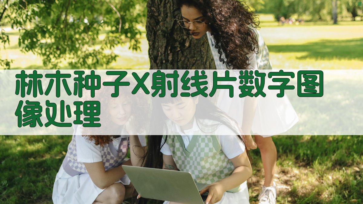 林木种子X射线片数字图像处理