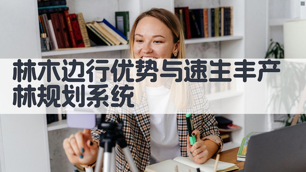 林木边行优势与速生丰产林规划系统