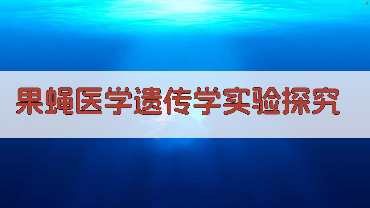 AI果蝇医学遗传学实验探究助手