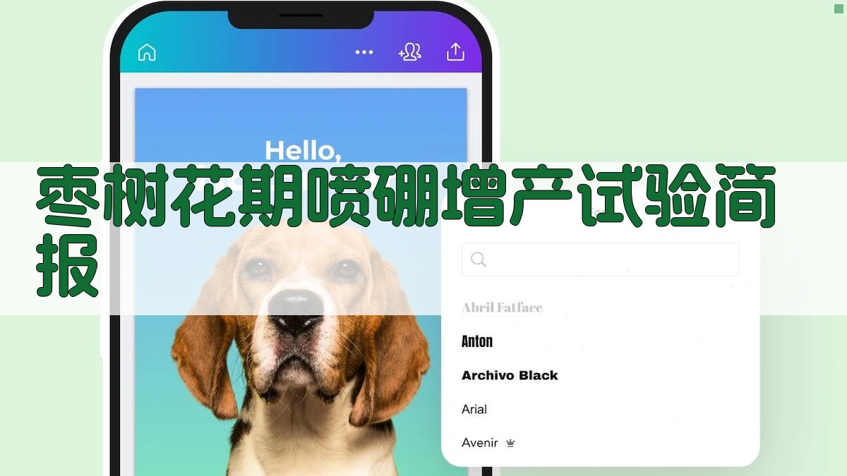 枣树花期喷硼增产试验简报分析助手