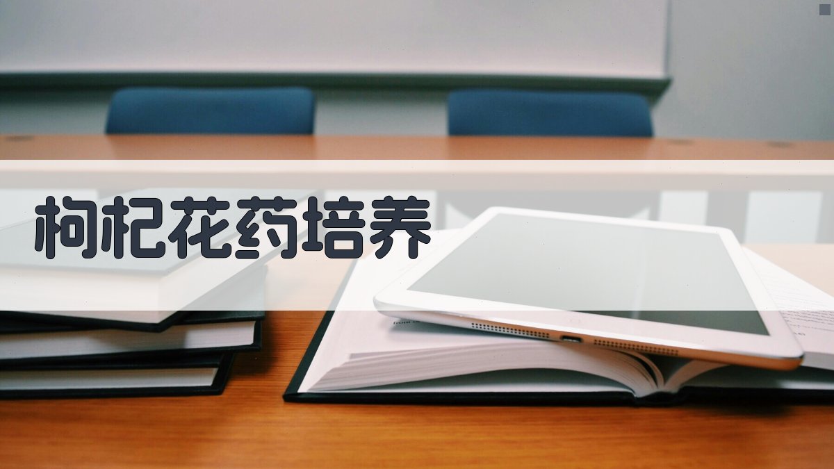 枸杞花药培养单倍体诱导