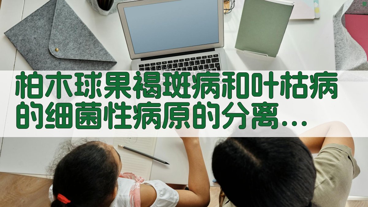 柏木球果褐斑病和叶枯病的细菌性病原的分离、培养
