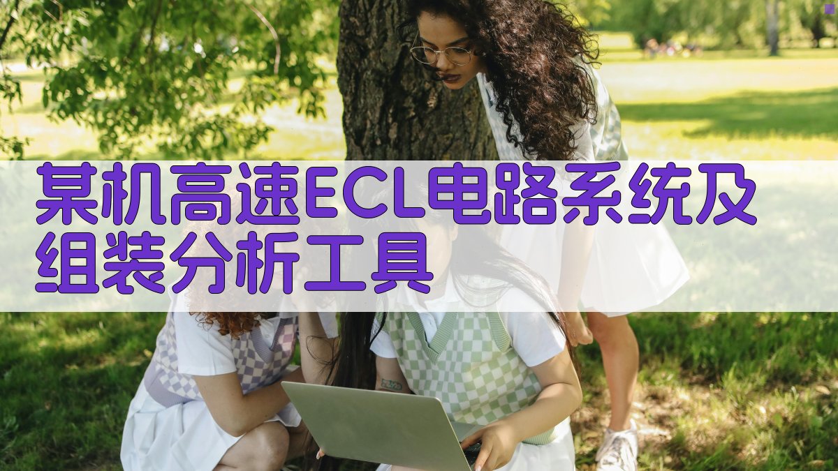 某机高速ECL电路系统及组装分析工具