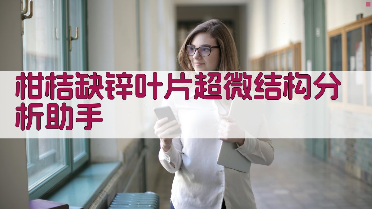 柑桔缺锌叶片超微结构分析助手