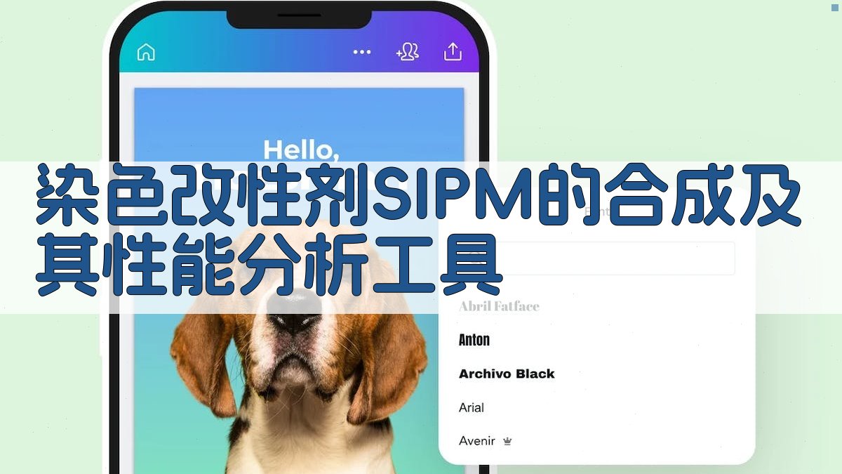 染色改性剂SIPM分析工具