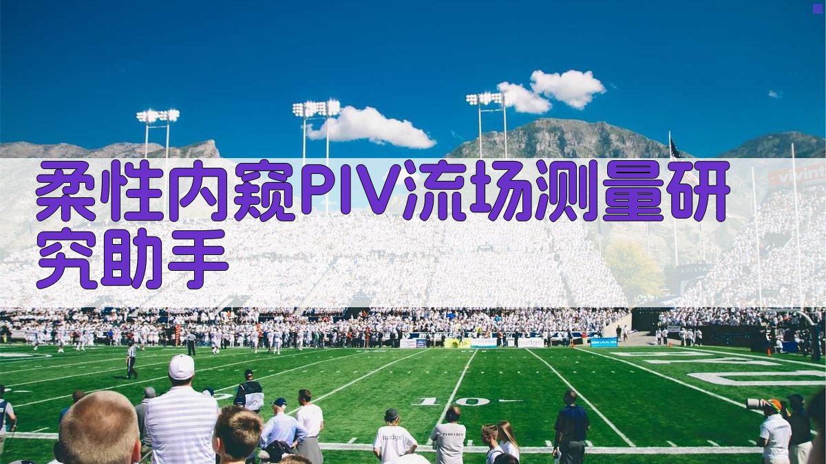 柔性内窥PIV流场测量研究助手