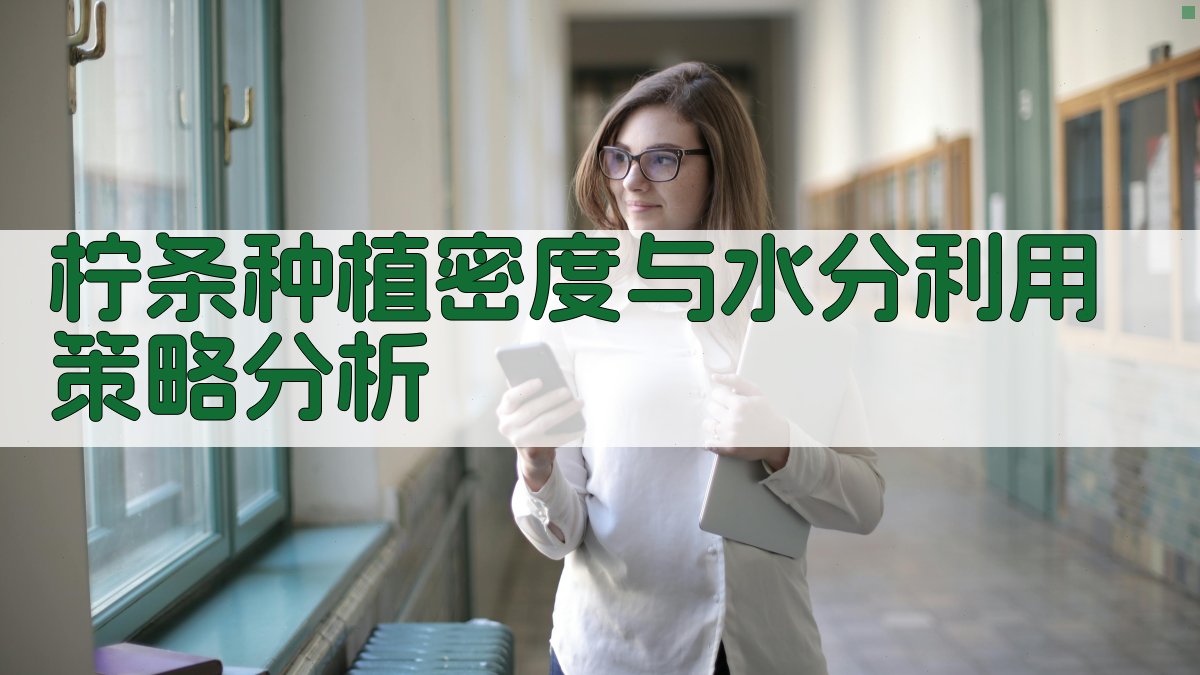 AI柠条种植密度与水分利用策略分析