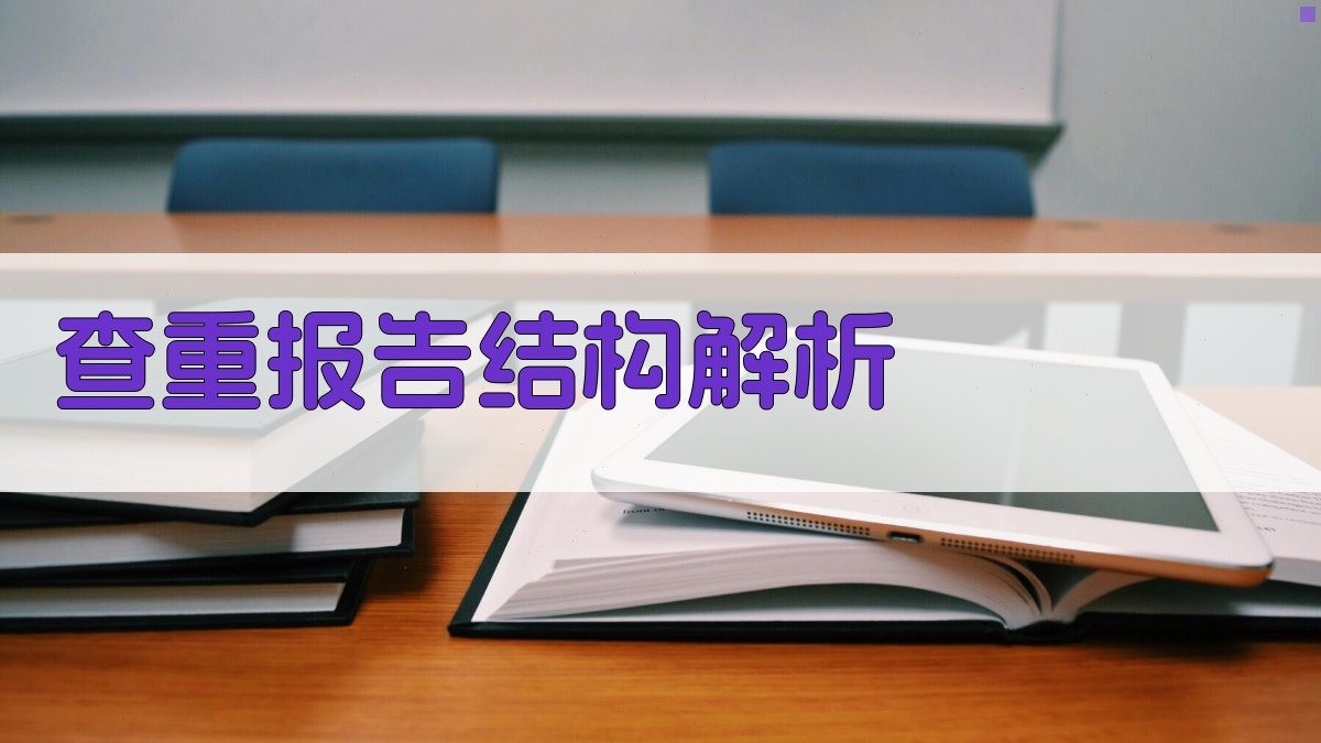 AI智能查重报告结构解析