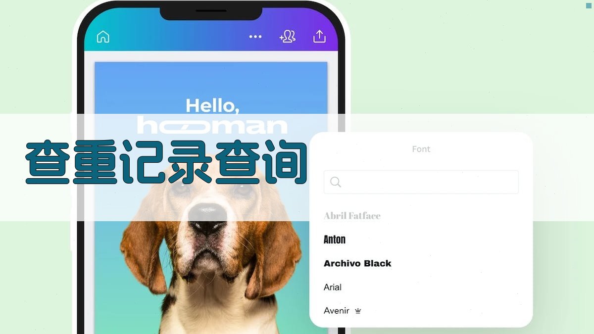 AI查重记录查询