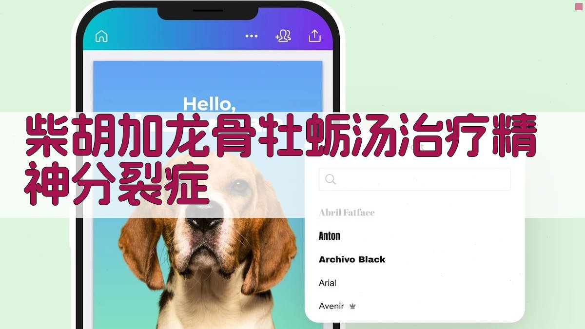 柴胡加龙骨牡蛎汤治疗精神分裂症