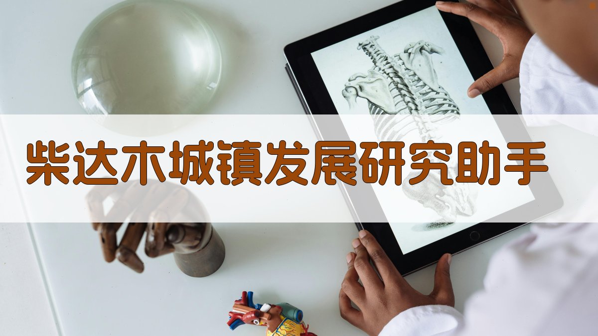 柴达木城镇发展研究助手