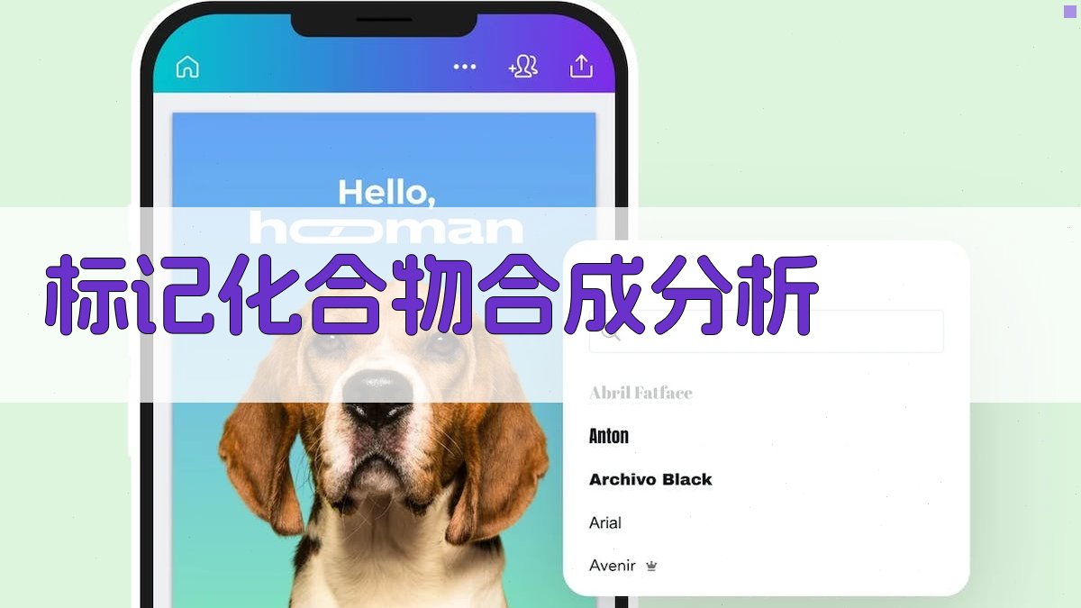 标记化合物合成分析