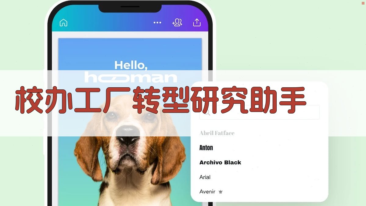 校办工厂转型研究助手