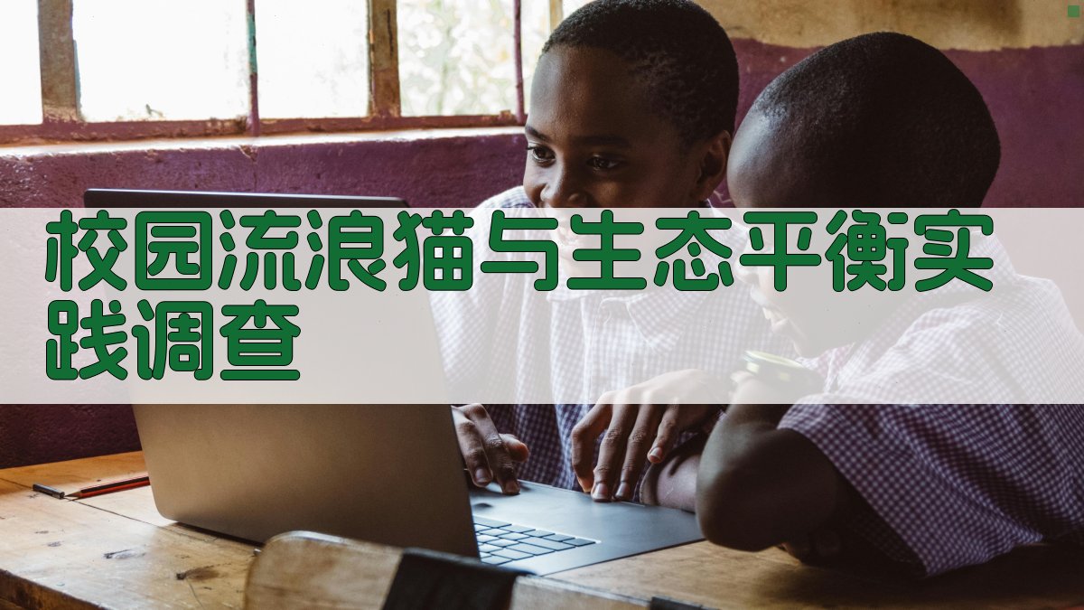 AI校园流浪猫调查助手