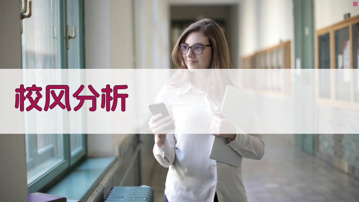 AI校风与领导作风分析工具