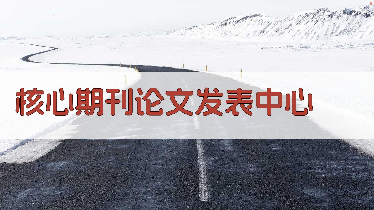 核心期刊论文发表中心