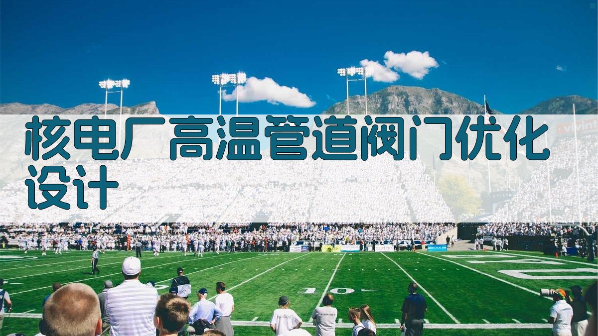 核电厂高温管道阀门优化设计