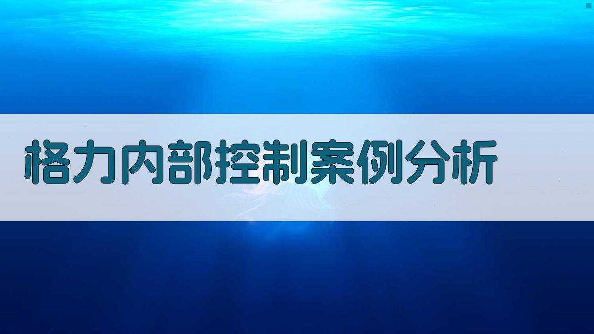 格力内部控制案例分析